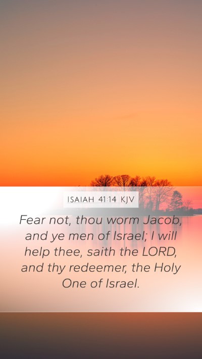Isaiah 41:14 KJV Bible Verse Image
