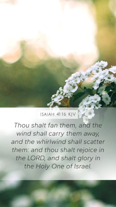 Isaiah 41:16 KJV Bible Verse Image