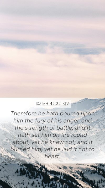 Isaiah 42:25 KJV Bible Verse Image