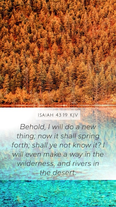 Isaiah 43:19 KJV Bible Verse Image