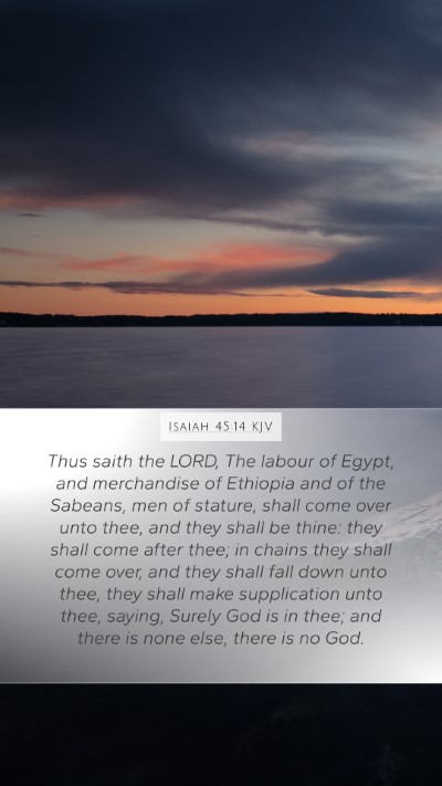Isaiah 45:14 KJV Bible Verse Image