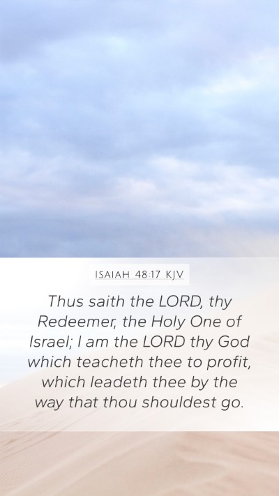 Isaiah 48:17 KJV Bible Verse Image