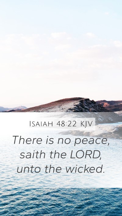 Isaiah 48:22 KJV Bible Verse Image