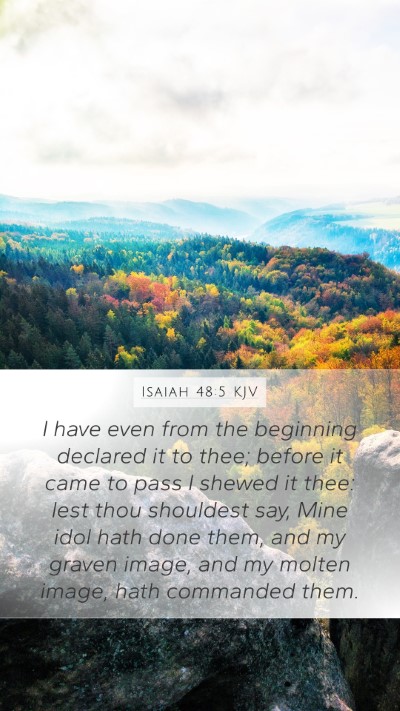 Isaiah 48:5 KJV Bible Verse Image