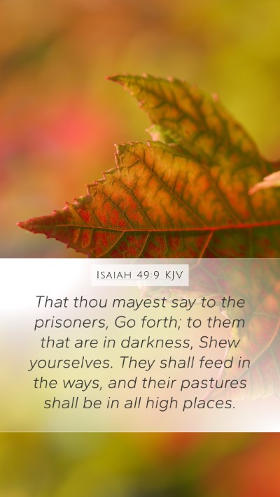 Isaiah 49:9 KJV Bible Verse Image