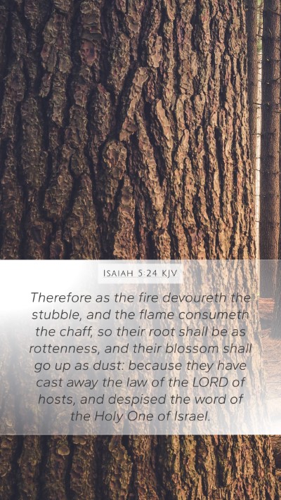 Isaiah 5:24 KJV Bible Verse Image