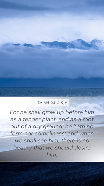 Isaiah 53:2 KJV Bible Verse Image