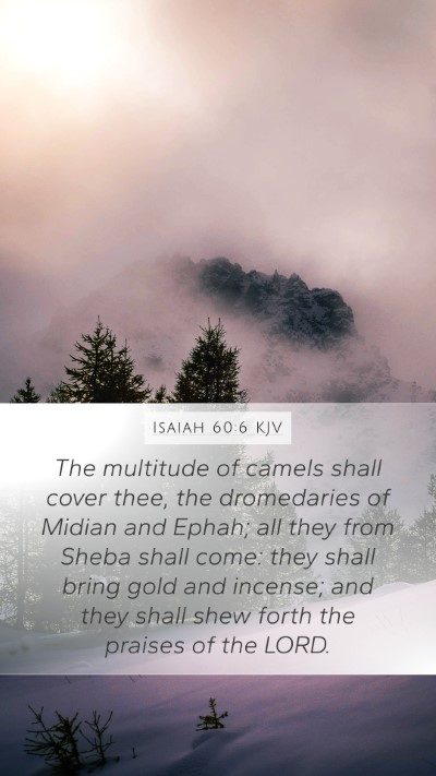 Isaiah 60:6 KJV Mobile Phone Wallpaper - The multitude of camels shall cover thee, the - Mobile Bible Verse Wallpaper