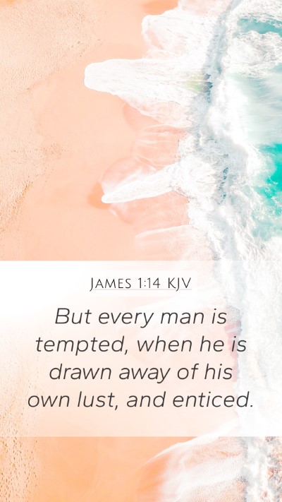 James 1:14 KJV Bible Verse Image