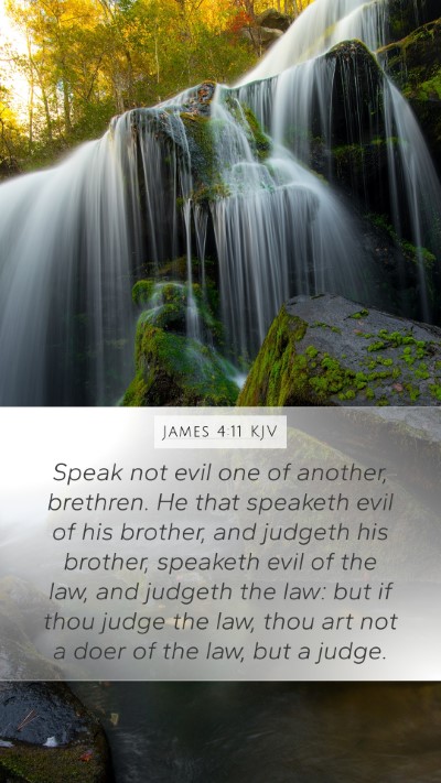 James 4:11 KJV Bible Verse Image