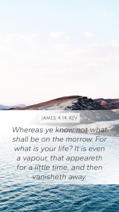 James 4:14 KJV Bible Verse Image