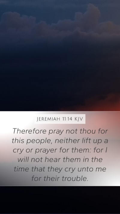 Jeremiah 11:14 KJV Bible Verse Image