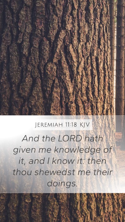 Jeremiah 11:18 KJV Bible Verse Image