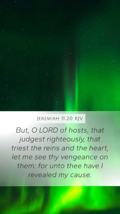 Jeremiah 11:20 KJV Bible Verse Image