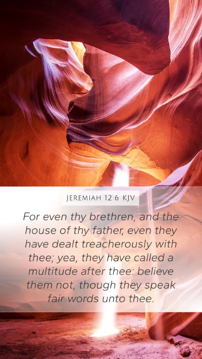 Jeremiah 12:6 KJV Bible Verse Image
