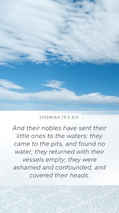 Jeremiah 14:3 KJV Bible Verse Image
