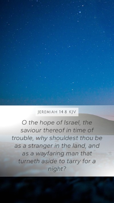 Jeremiah 14:8 KJV Bible Verse Image