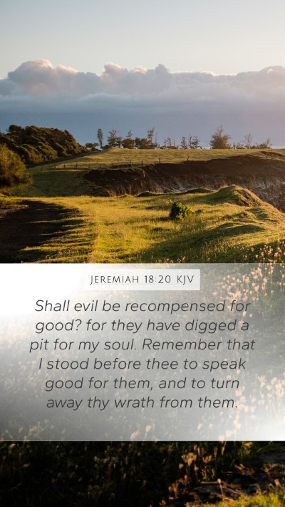 Jeremiah 18:20 KJV Bible Verse Image