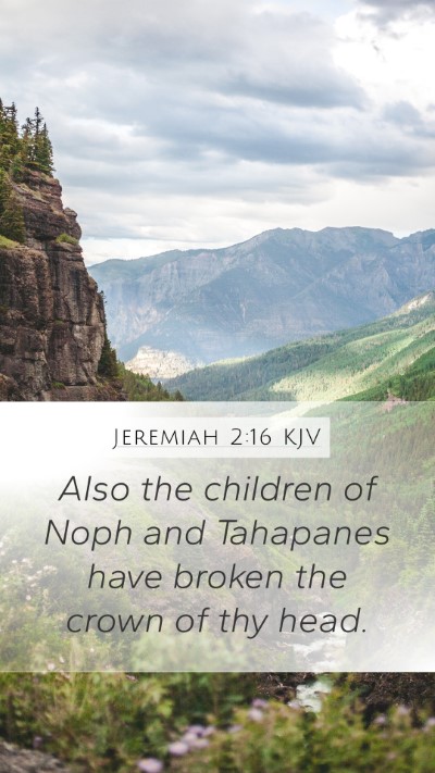 Jeremiah 2:16 KJV Bible Verse Image