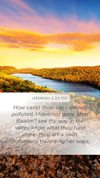 Jeremiah 2:23 KJV Bible Verse Image