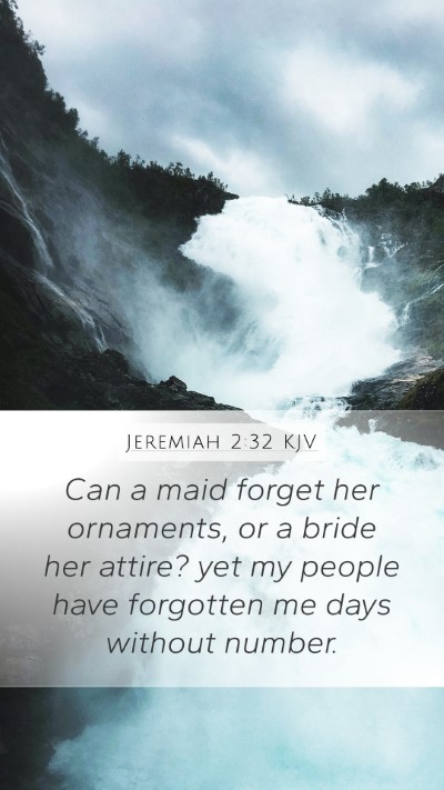 Jeremiah 2:32 KJV Bible Verse Image
