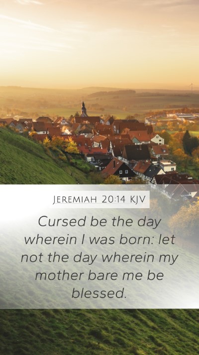 Jeremiah 20:14 KJV Bible Verse Image