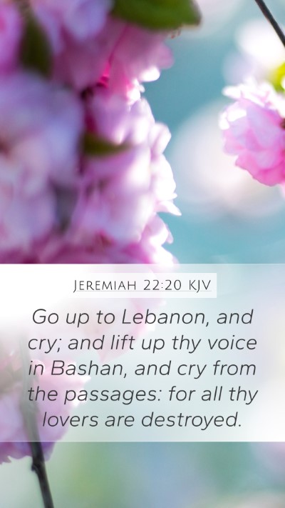 Jeremiah 22:20 KJV Bible Verse Image
