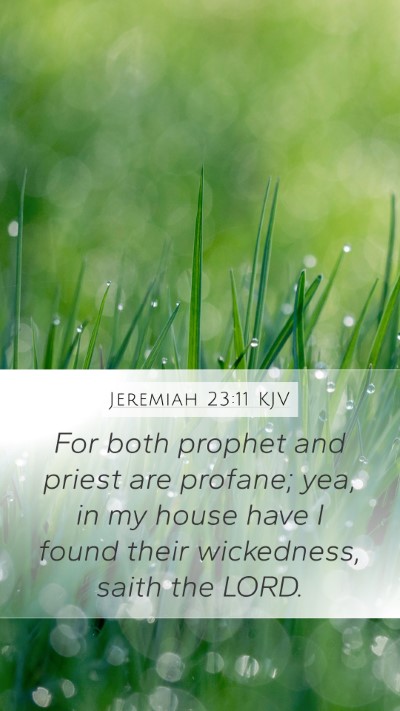 Jeremiah 23:11 KJV Bible Verse Image