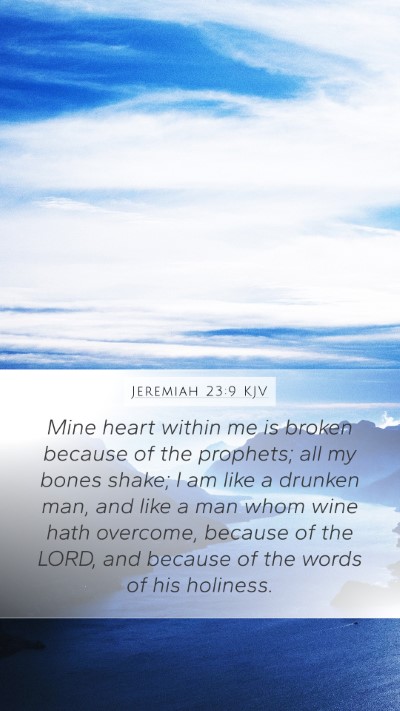 Jeremiah 23:9 KJV Bible Verse Image