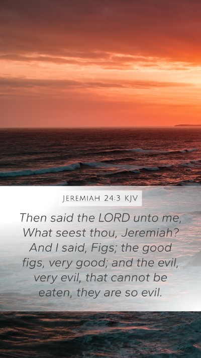 Jeremiah 24:3 KJV Bible Verse Image