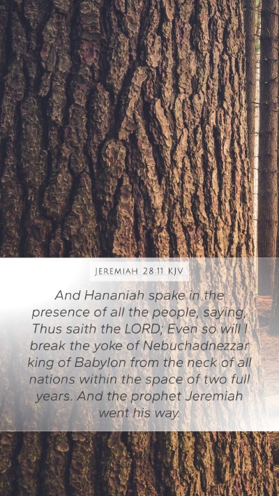 Jeremiah 28:11 KJV Bible Verse Image