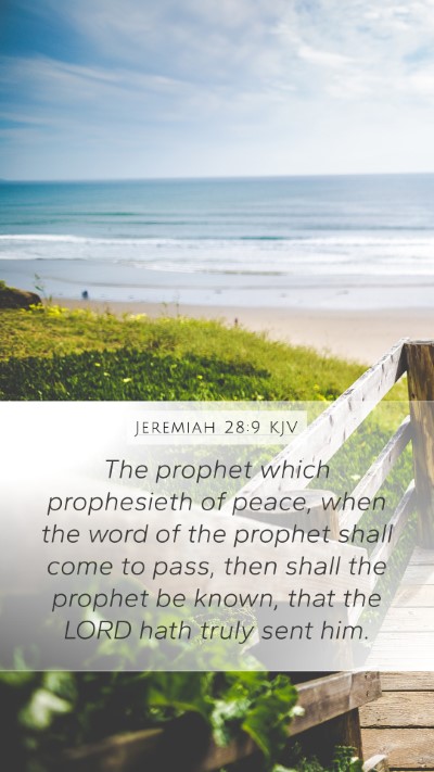 Jeremiah 28:9 KJV Mobile Phone Wallpaper - The prophet which prophesieth of peace, when the - Mobile Bible Verse Wallpaper