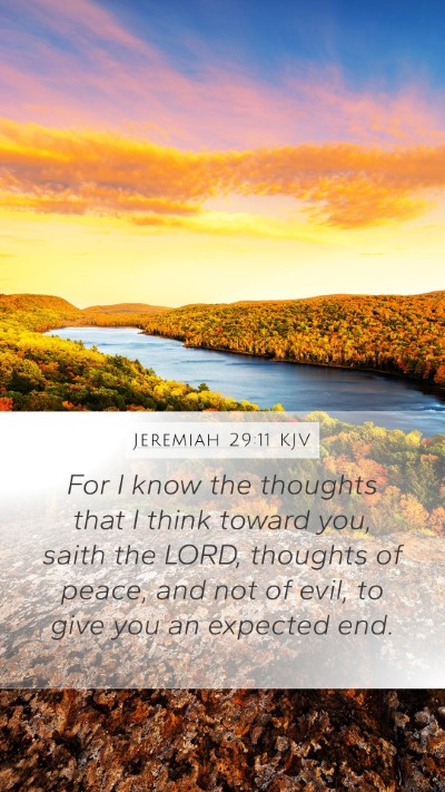 Jeremiah 29:11 KJV Bible Verse Image