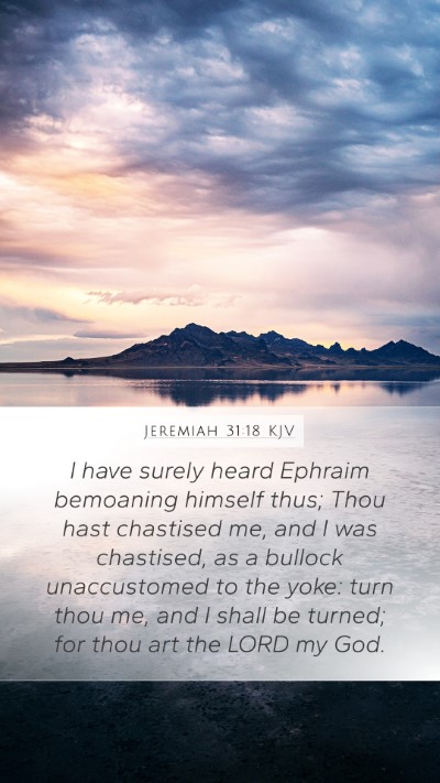 Jeremiah 31:18 KJV Bible Verse Image