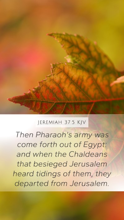 Jeremiah 37:5 KJV Bible Verse Image