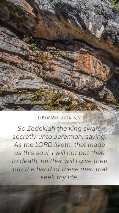 Jeremiah 38:16 KJV Bible Verse Image