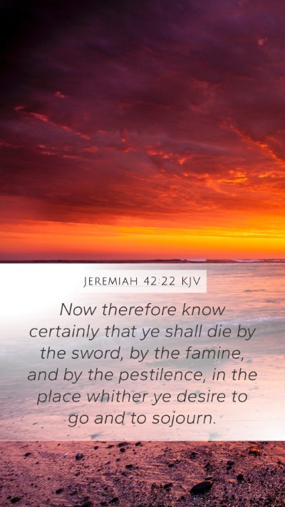 Jeremiah 42:22 KJV Bible Verse Image