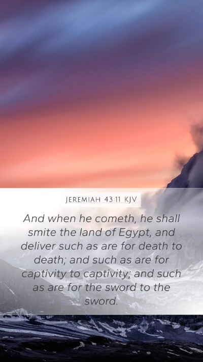 Jeremiah 43:11 KJV Bible Verse Image