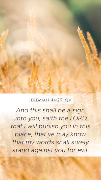 Jeremiah 44:29 KJV Bible Verse Image