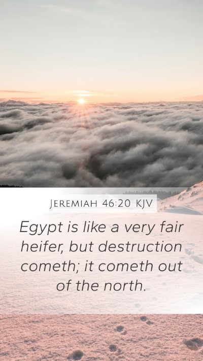 Jeremiah 46:20 KJV Bible Verse Image