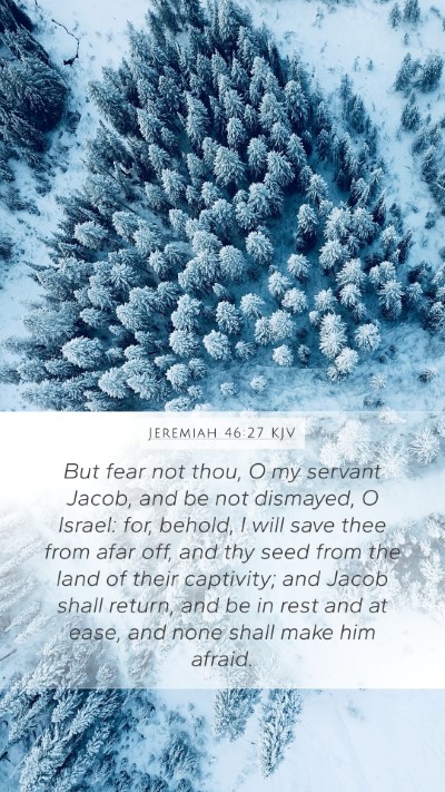 Jeremiah 46:27 KJV Bible Verse Image