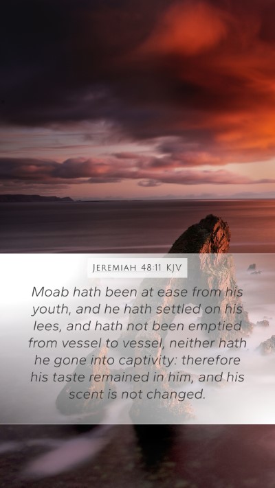 Jeremiah 48:11 KJV Bible Verse Image