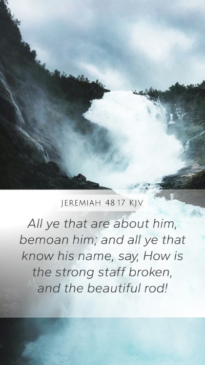 Jeremiah 48:17 KJV Bible Verse Image