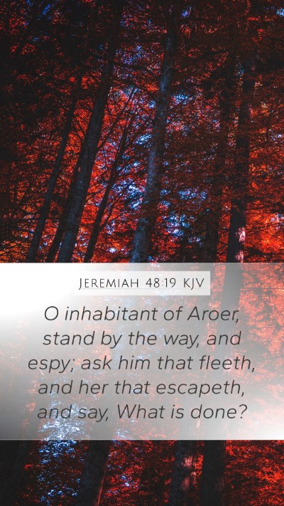 Jeremiah 48:19 KJV Bible Verse Image
