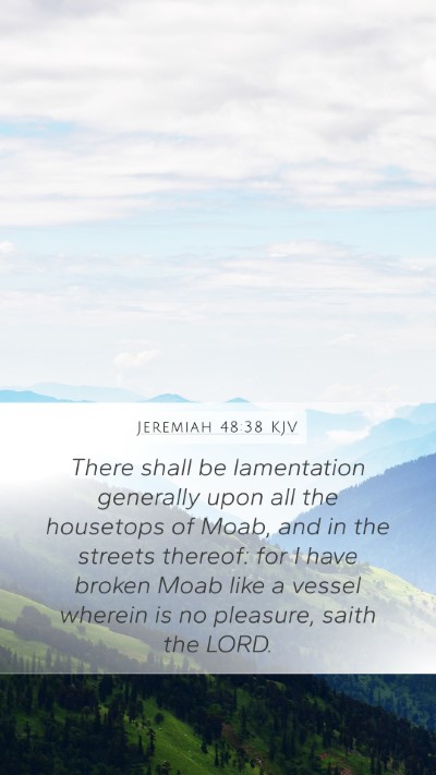 Jeremiah 48:38 KJV Bible Verse Image