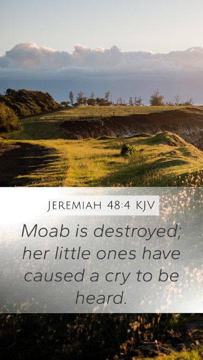 Jeremiah 48:4 KJV Bible Verse Image