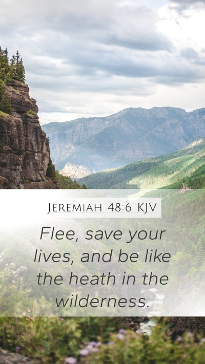 Jeremiah 48:6 KJV Bible Verse Image