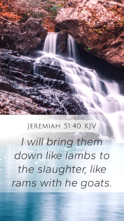 Jeremiah 51:40 KJV Bible Verse Image