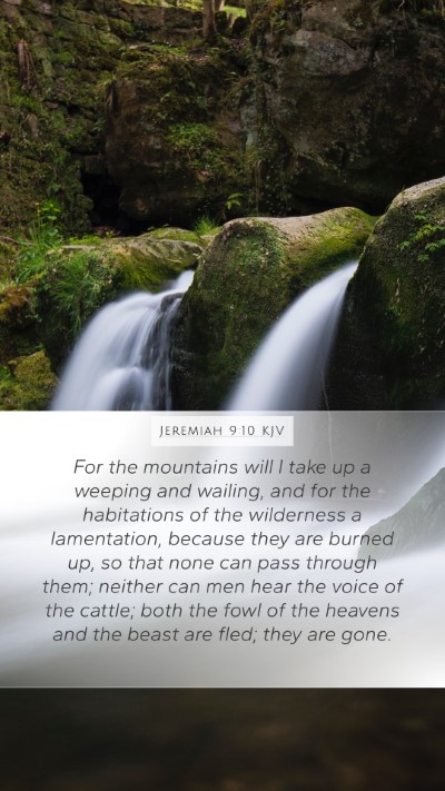 Jeremiah 9:10 KJV Bible Verse Image