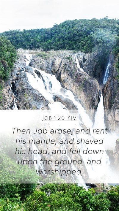 Job 1:20 KJV Bible Verse Image